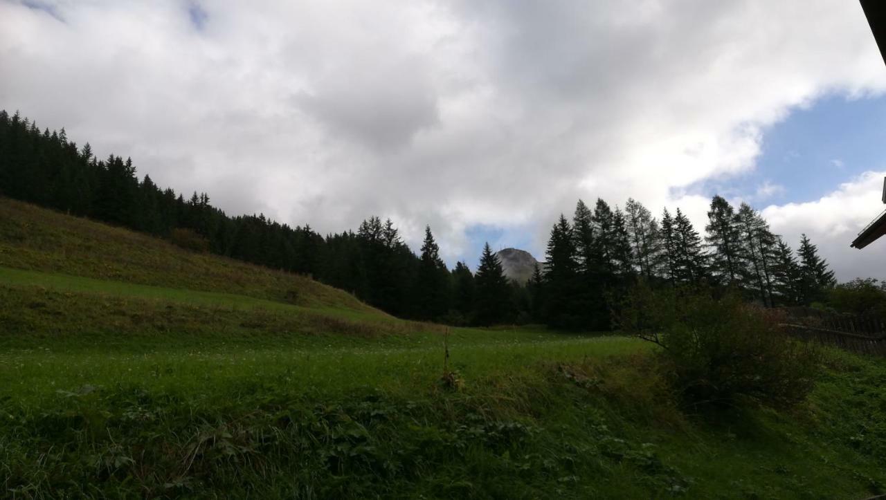 Casamau Studio Campitello di Fassa Exterior photo